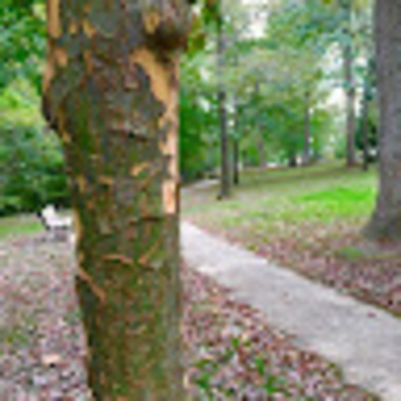 Meet your Posher, Jessica - Picture 1 of 1